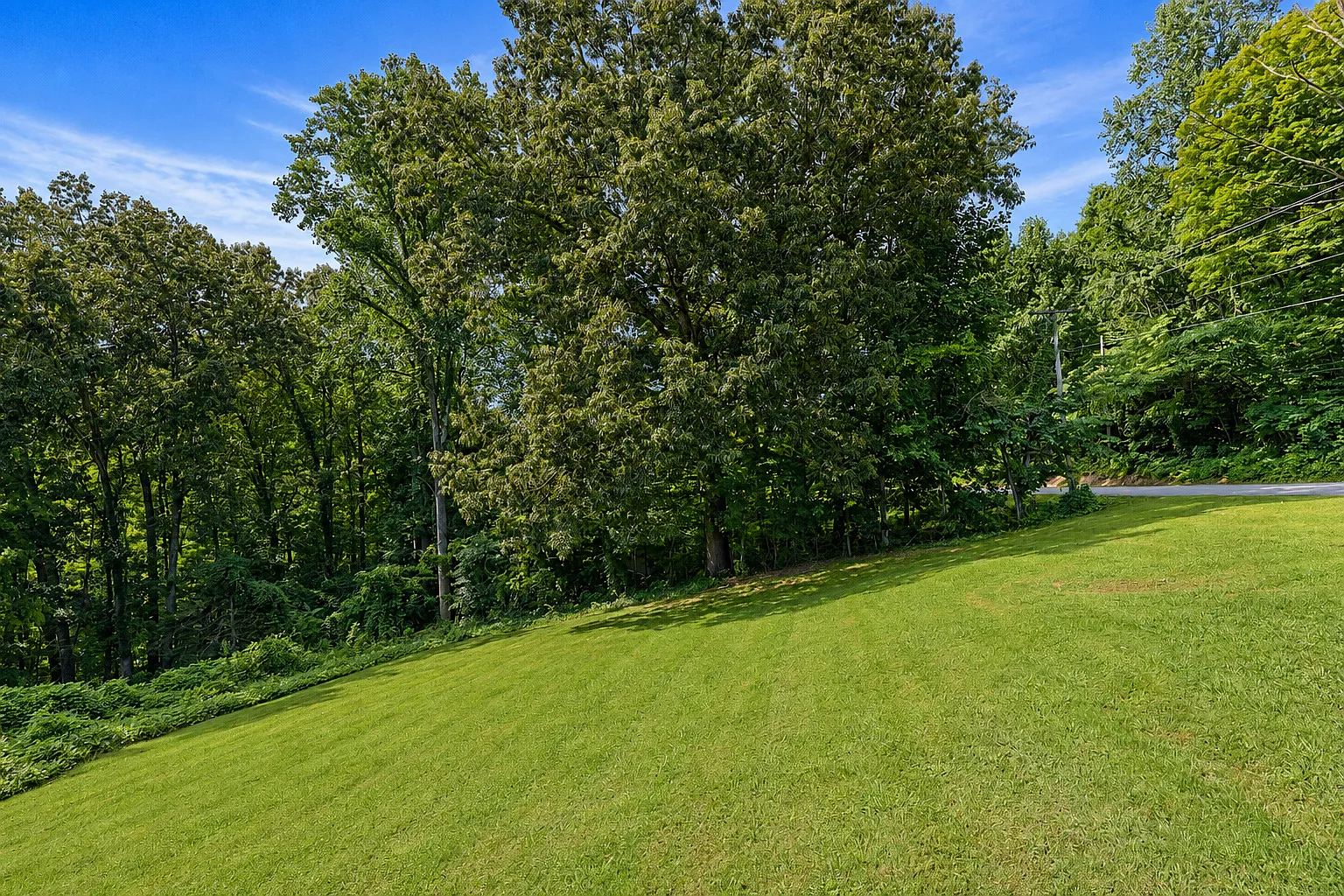 Powder Branch — Photo 4