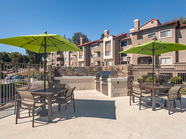 Barbecue grills and dining area