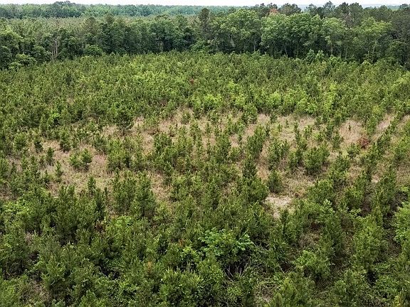 5th image of 0 Adams Hammock Rd