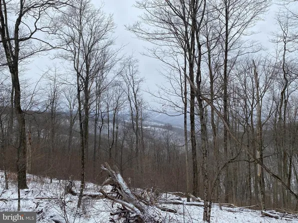 Tbd Stemple Ridge Rd, Aurora, WV 26705