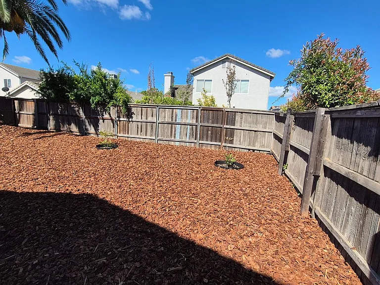 5317 Buckwood Way — Photo 46
