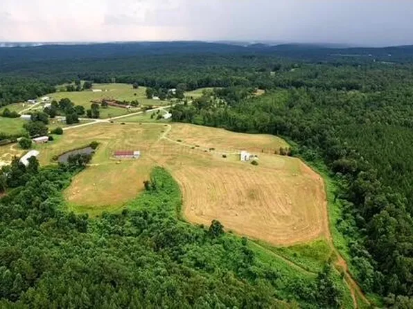 21638 County Road 41, Addison, AL 35540