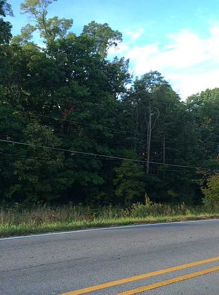2nd image of 8562 Lafayette Rd