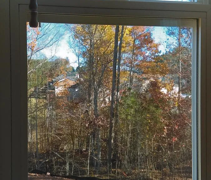 4255 Lofty Ridge Pl — Photo 12