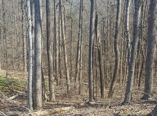 LOT 76 Golf Course Rd, Unicoi, TN 37692