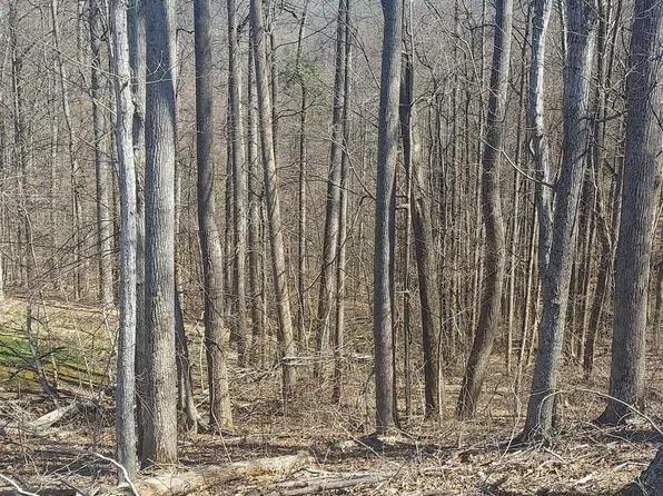 LOT 76 Golf Course Rd, Unicoi, TN 37692