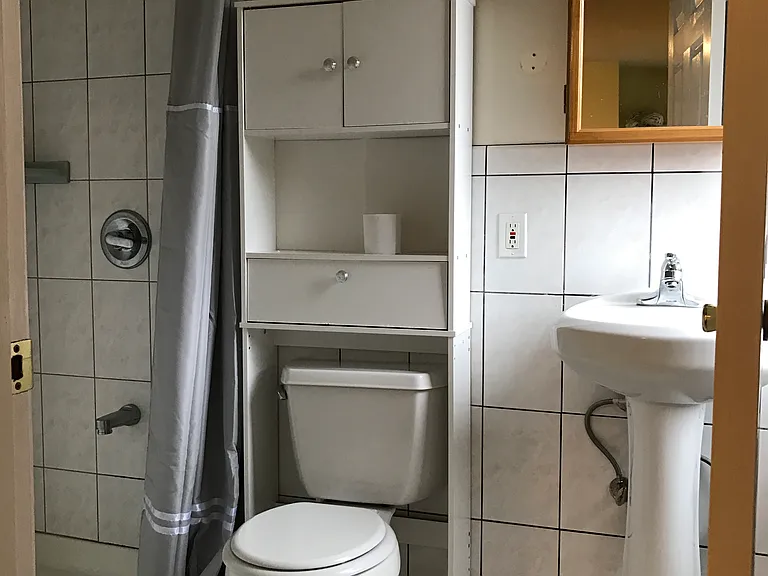 full bathroom with standing shower