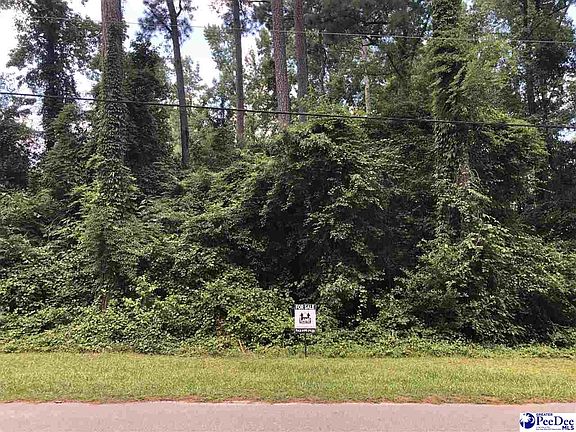 4th image of 649 N Beaverdam Dr