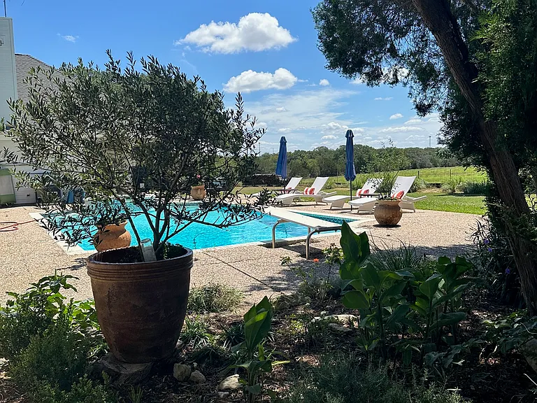 Pool and gardens.