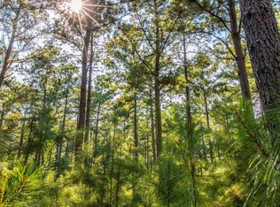 TRACT 8 County Road 4221, Frankston, TX