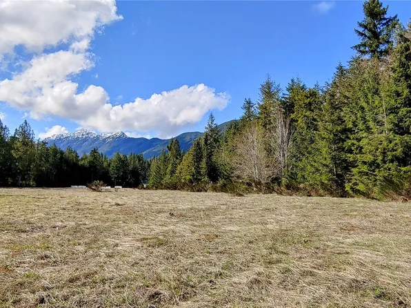 1380 Duckabush Road, Brinnon, WA 98320