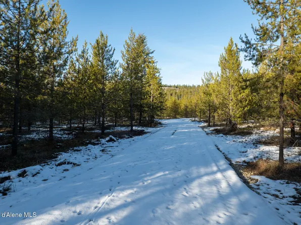 Nka Doo Loop Rd Lot 4-HOO, Oldtown, ID 83822
