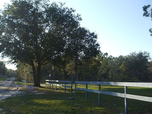 Oak Tree @ Front of Property