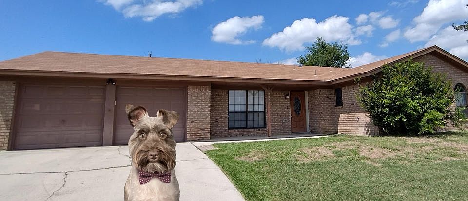 WALTER SAYS: PET FRIENDLY HOME WITH A BIG BACKYARD!!