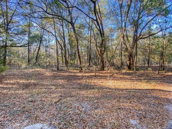 SW Buffalo Ct Lot 14, Fort White, FL 32038