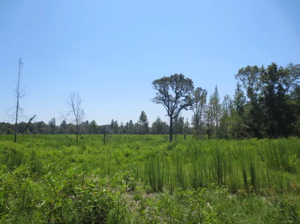 Old Highway 49 Lot Wp002, Seminary, MS 39479