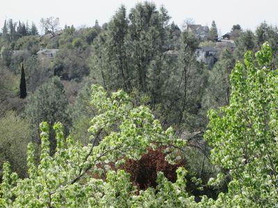 12557 Highland Dr, Auburn, CA, 95603