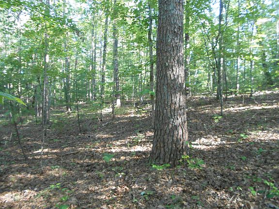 5th image of Crooked Branch Rd