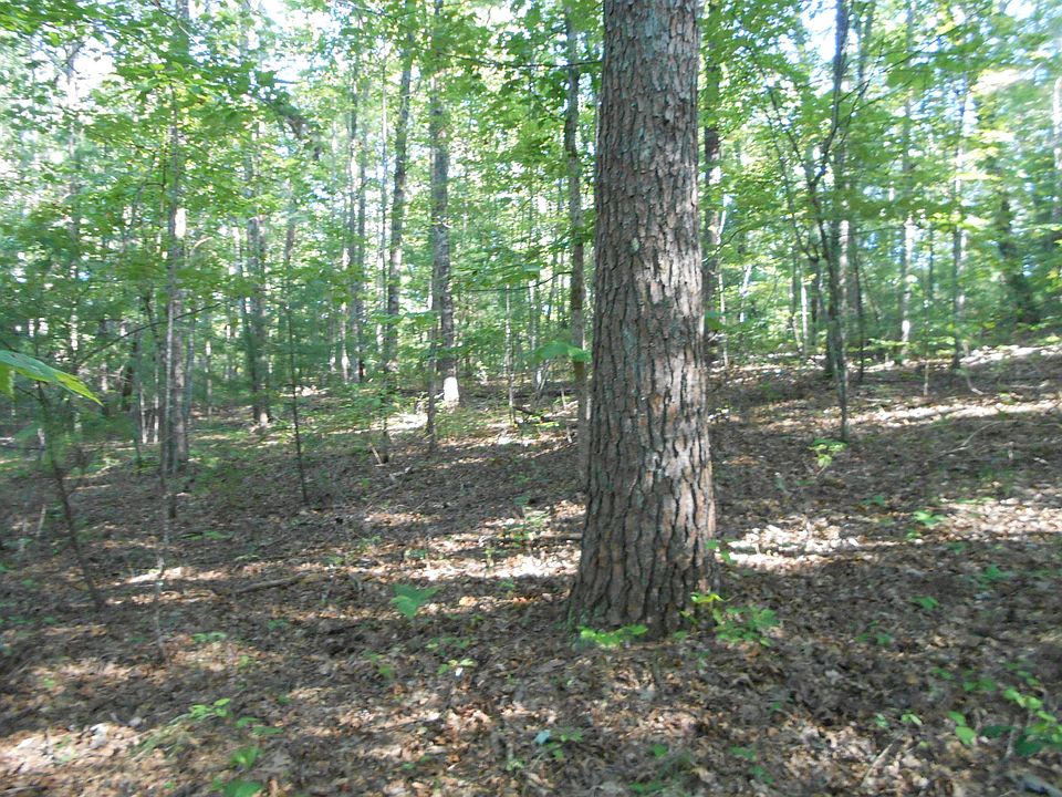 1st image of Crooked Branch Cir