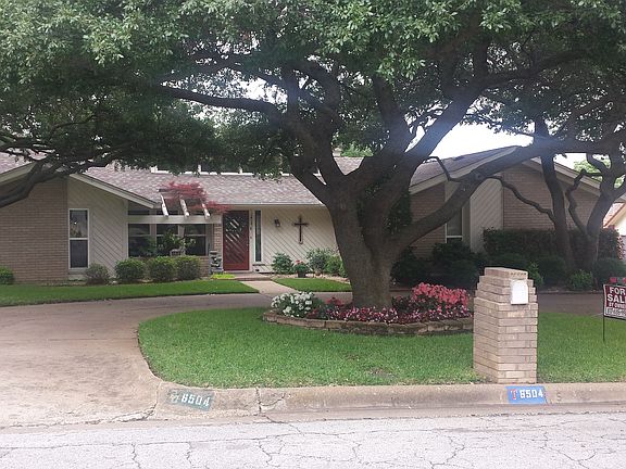 Sculpted oaks & circle drive
