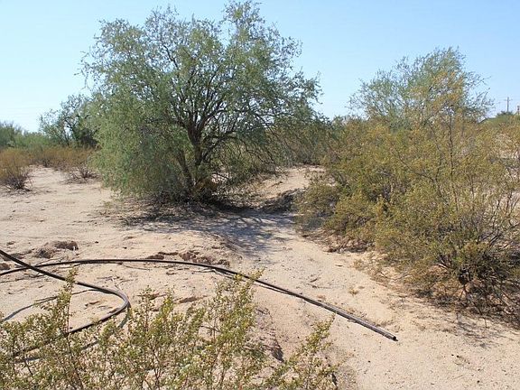 4th image of 8128 N Calle Hermosa Cir Lot 13
