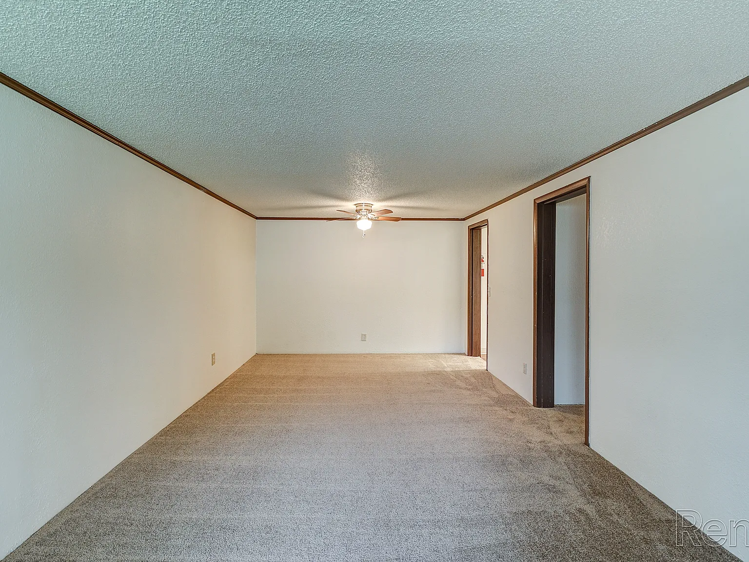 Pinegrove — Photo 3