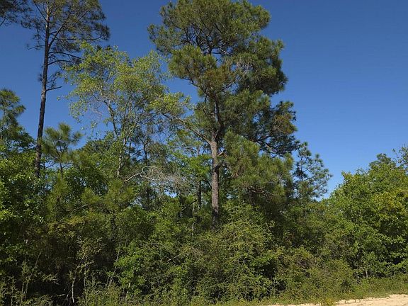 5th image of LOT 46 Bay Dr