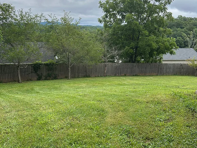 175 Youngs Cove Rd — Photo 56