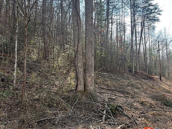 5th image of 0 Robinson Gap Rd