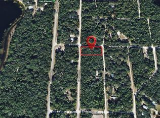 NE 234th Place Rd LOT 10, Fort Mc Coy, FL 32134