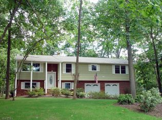 43 Oxford Pl, Hillsborough, NJ