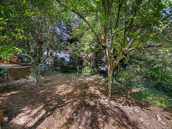 Backyard pre renovation -