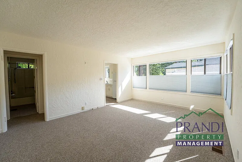 2 bed, 1.0 bath, 950 sqft, $3,375 — Photo 3
