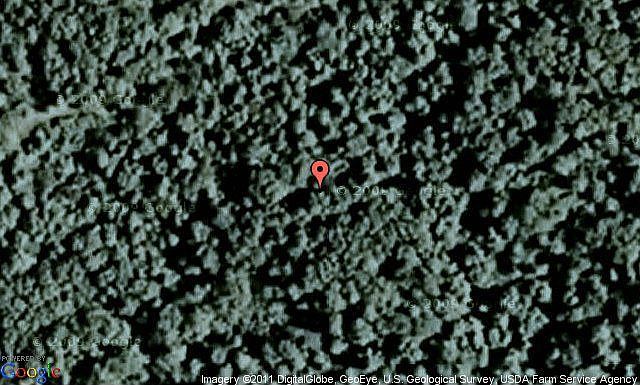 Map View