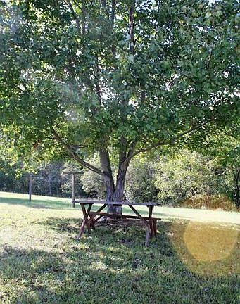 5th image of 545 Berry Mountain Ln