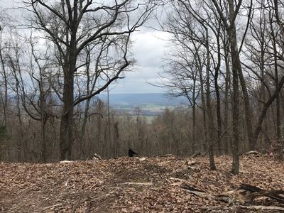 0 Brow Rd LOT 151, Monteagle, TN, 37356