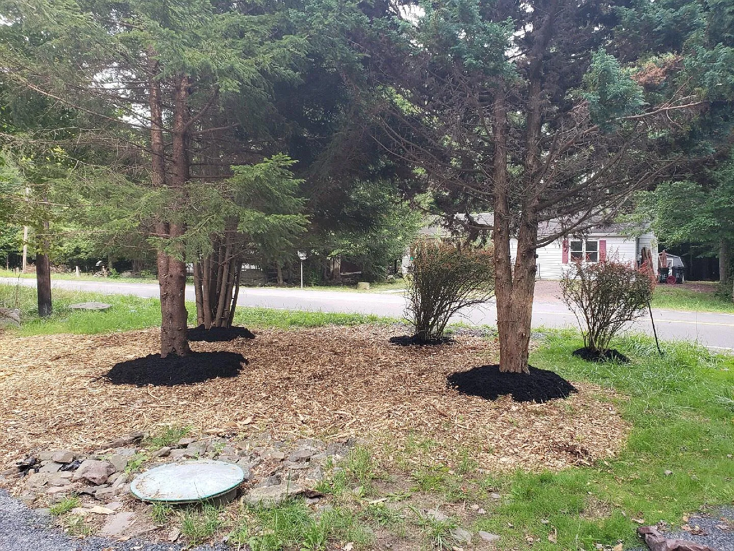 1047 Knollwood Dr — Photo 2