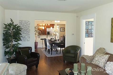 Open Sight Plan Layout