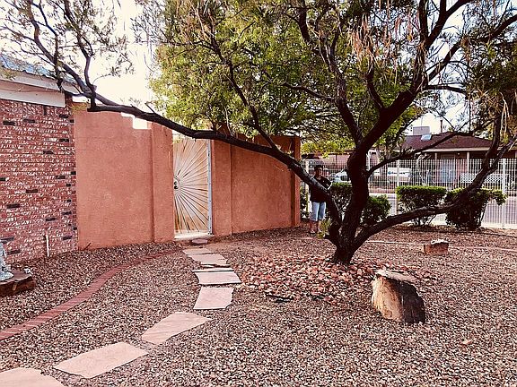 Front yard 