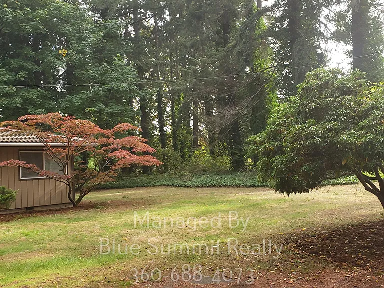 8534 Pacific Ave SE — Photo 15