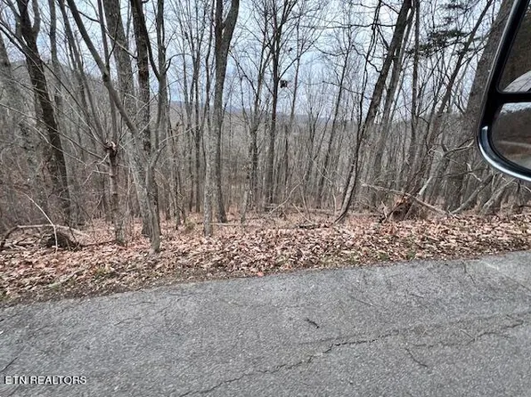 Laurel Mountain Rd, Madisonville, TN 37354