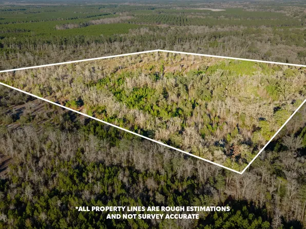 SE Red Cason Dr, Lulu, FL 32061