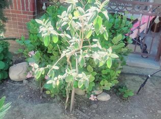 10903 Sweet River Dr, Bakersfield, CA 93311