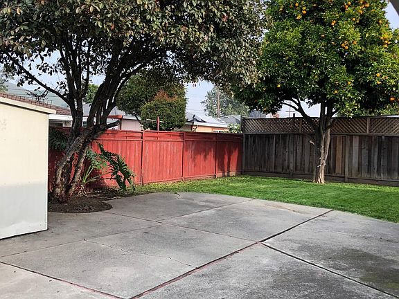 Back Yard with Mature Fruit Trees