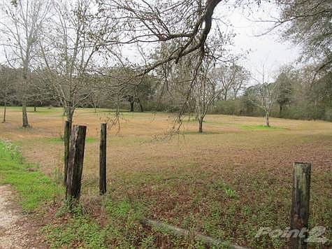 5th image of 13240 County Road 54