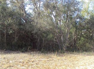 Larry Ave, Webster, FL 33597