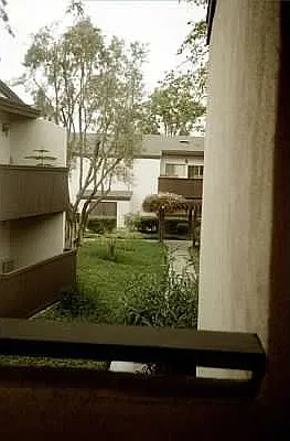 1341 Caminito Gabaldon — Photo 4