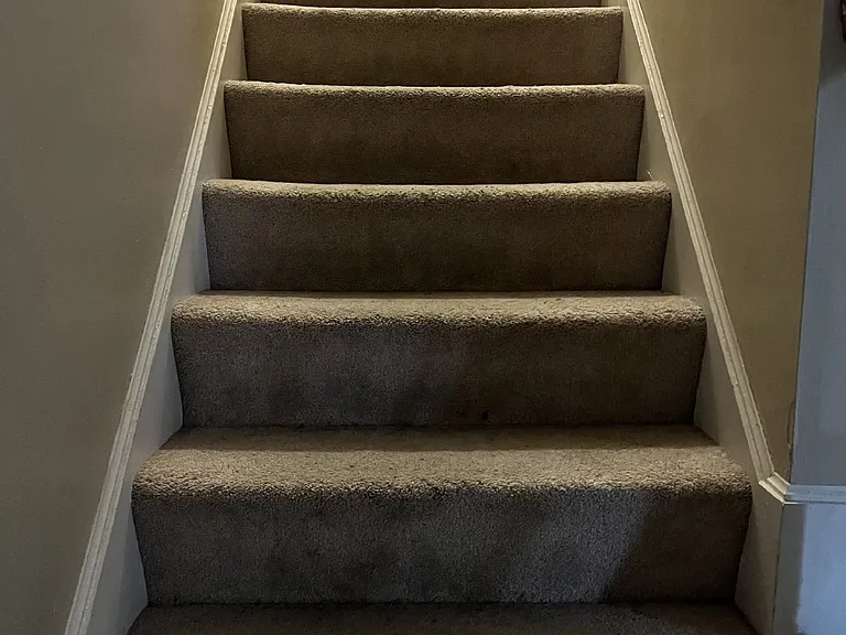 101 Southampton Dr — Photo 14
