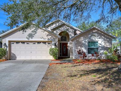 7136 Colony Pointe Dr, Riverview, FL, 33578