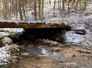 Pete Creek Rd, Flag Pond, TN 37657